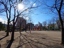 【東京都/墨田区本所】アデニウム墨田本所  若宮公園（現地より約400m）