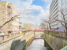 【東京都/目黒区下目黒】ドエルアルス目黒 目黒川（現地より約60m）