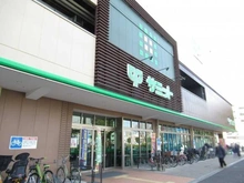 【東京都/世田谷区野沢】サンクレイドル学芸大学 サミットストア駒沢龍雲寺店（現地より約360m）：