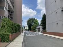 【東京都/練馬区石神井台】上石神井ハイム 4号棟 前面道路