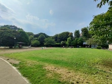 【東京都/港区白金台】白金台グロリアハイツ 区立白金台どんぐり児童遊園（現地より約60m）：