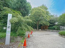 【東京都/品川区西五反田】パラッシオ目黒不動前 林試の森公園（現地より約900m）