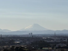 【埼玉県/ふじみ野市うれし野】リズムタワーII 眺望：南向きバルコニーから撮影　ズームあり