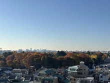 【東京都/板橋区桜川】レジデンシャル上板橋パークゲート 眺望