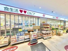 【埼玉県/富士見市ふじみ野西】アイムふじみ野西三番館  ロピア　トナリエふじみ野店（現地より約1,000m）
