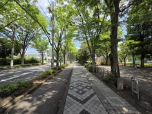 【埼玉県/朝霞市幸町】シャリエ朝霞グランフィールド 南大通り（現地より約50m）