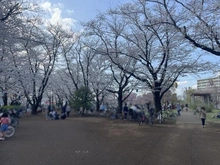 【埼玉県/ふじみ野市上野台】オハナふじみ野上野台ブロッサム 福岡中央公園（現地より約10m）：