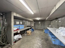 【東京都/板橋区成増】東建ニューハイツ成増 共用部：ゴミ置き場