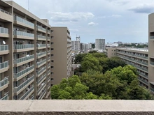 【埼玉県/和光市本町】シーアイハイツ和光 K棟 眺望：南東側