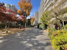 【埼玉県/和光市本町】シーアイハイツ和光 E棟 敷地内