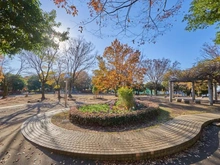 【埼玉県/朝霞市根岸台】朝霞ハイデンス 青葉台公園（現地より約1,400m）