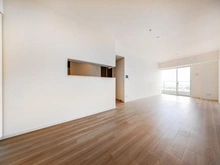 【神奈川県/川崎市中原区中丸子】リエトコート武蔵小杉イーストタワー LDK