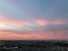 【神奈川県/川崎市中原区小杉町】パークシティ武蔵小杉ザガーデンタワーズイースト 眺望