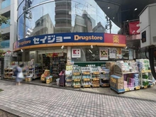 【神奈川県/川崎市中原区新丸子町】プラウド新丸子 くすりセイジョー新丸子店（現地より約270m）