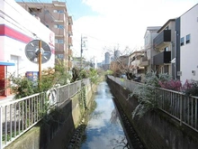 【神奈川県/川崎市中原区宮内】ライオンズガーデン等々力緑地パークサイド  二ヶ領用水（現地より約800m）