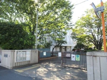 【神奈川県/川崎市中原区市ノ坪】シティタワー武蔵小杉 川崎市立東住吉小学校（現地より約641m）