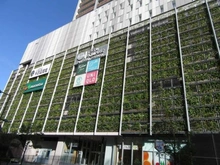 【神奈川県/川崎市中原区市ノ坪】シティタワー武蔵小杉 東急スクエア武蔵小杉（現地より約400m）