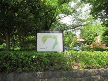 【神奈川県/川崎市中原区市ノ坪】シティタワー武蔵小杉 中原平和公園（現地より約540m）