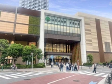 【神奈川県/川崎市中原区小杉町】コスギサードアベニューザ・レジデンス GRAND TREE武蔵小杉（現地より約590m）