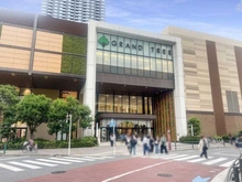 【神奈川県/川崎市中原区小杉町】コスギサードアベニューザ・レジデンス  GRAND TREE武蔵小杉（現地より約590m）