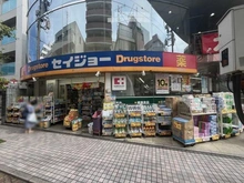 【神奈川県/川崎市中原区新丸子町】プラウド新丸子 くすりセイジョー新丸子店（現地より約270m）