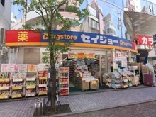 【神奈川県/川崎市中原区丸子通】クリオラベルヴィ武蔵小杉グレイス セイジョー新丸子店（現地より約460m）