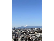 【神奈川県/川崎市幸区小倉】パークシティ新川崎 東2番街 G棟 眺望：ズームなし