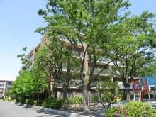 【神奈川県/川崎市中原区今井仲町】プラウド武蔵小杉パークフロント 外観