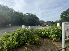 【神奈川県/横浜市港北区高田西】藤和ライブタウン綱島の丘 B棟 高田西公園（現地より約148m）：