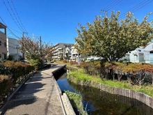 【神奈川県/川崎市中原区下小田中】プラウド武蔵中原テラス  江川せせらぎ遊歩道（現地より約450m）：