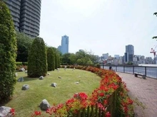 【東京都/中央区佃】シティフロントタワー 敷地内