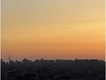 【神奈川県/川崎市中原区小杉町】ドレッセタワー武蔵小杉 眺望：ズームなし