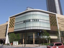 【神奈川県/川崎市中原区小杉町】パークシティ武蔵小杉ザガーデンタワーズウエスト グランツリー武蔵小杉（現地より約900m）