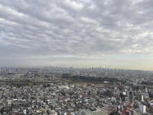 【神奈川県/川崎市中原区小杉町】パークシティ武蔵小杉ザガーデンタワーズウエスト 眺望