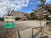 【神奈川県/川崎市中原区今井西町】ラヴィドール武蔵小杉 今井さくら公園（現地より約120m）：