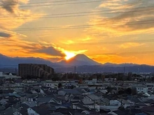 【東京都/国分寺市内藤】グローヴテラス国立 眺望：ズームあり