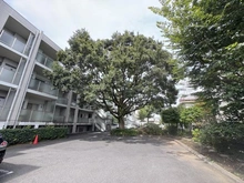 【東京都/国分寺市内藤】グローヴテラス国立 敷地内