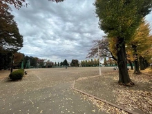 【東京都/国立市富士見台】シティテラス国立 谷保第三公園（現地より約250m）：