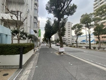 【兵庫県/神戸市東灘区本山南町】本山南パークマンション 前面道路