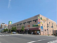 【兵庫県/神戸市東灘区本山南町】コスモシティ神戸本山 B棟 ライフ本山店（現地より約750m）