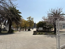 【兵庫県/神戸市東灘区本山南町】コスモシティ神戸本山 B棟 小寄公園（現地より約260m）