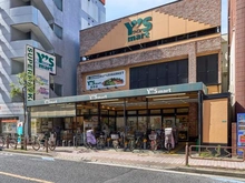 【東京都/江戸川区中葛西】デュアルスイート葛西 ワイズマート　葛西店（現地より約550m）：