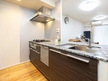 【東京都/江戸川区船堀】ゼルクハウス船堀 キッチン：天然御影石を採用(分譲時パンフレットに基づく)