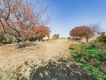 【東京都/江戸川区東葛西】クリオ葛西シーズンテラス なぎさ公園（現地より約30m）