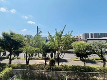 【千葉県/流山市南流山】コープ野村南流山弐番街 1号棟 眺望