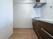 【埼玉県/さいたま市浦和区仲町】ドメイン浦和 キッチン