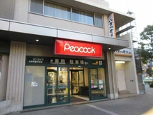 【東京都/世田谷区若林】グランドメゾン三軒茶屋プレイス ピーコックストア三軒茶屋の杜店（現地より約390m）