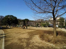 【東京都/港区白金台】シャルマンコーポ清雅 白金台どんぐり児童遊園（現地より約310m）