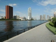 【東京都/中央区勝どき】勝どきビュータワー 隅田川（現地より約170m）