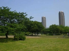 【東京都/江東区北砂】ウィルローズ住吉 猿江恩賜公園（現地より約1,100m）